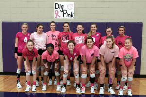 http://archives.lincolndailynews.com/2017/Oct/27/images/102717pics/topLC%20Team%20on%20Dig%20Pink%20Night.jpg