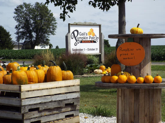 Image result for gails pumpkin patch site:archives.lincolndailynews.com