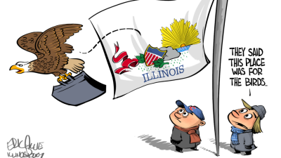 Illinois is for the birds