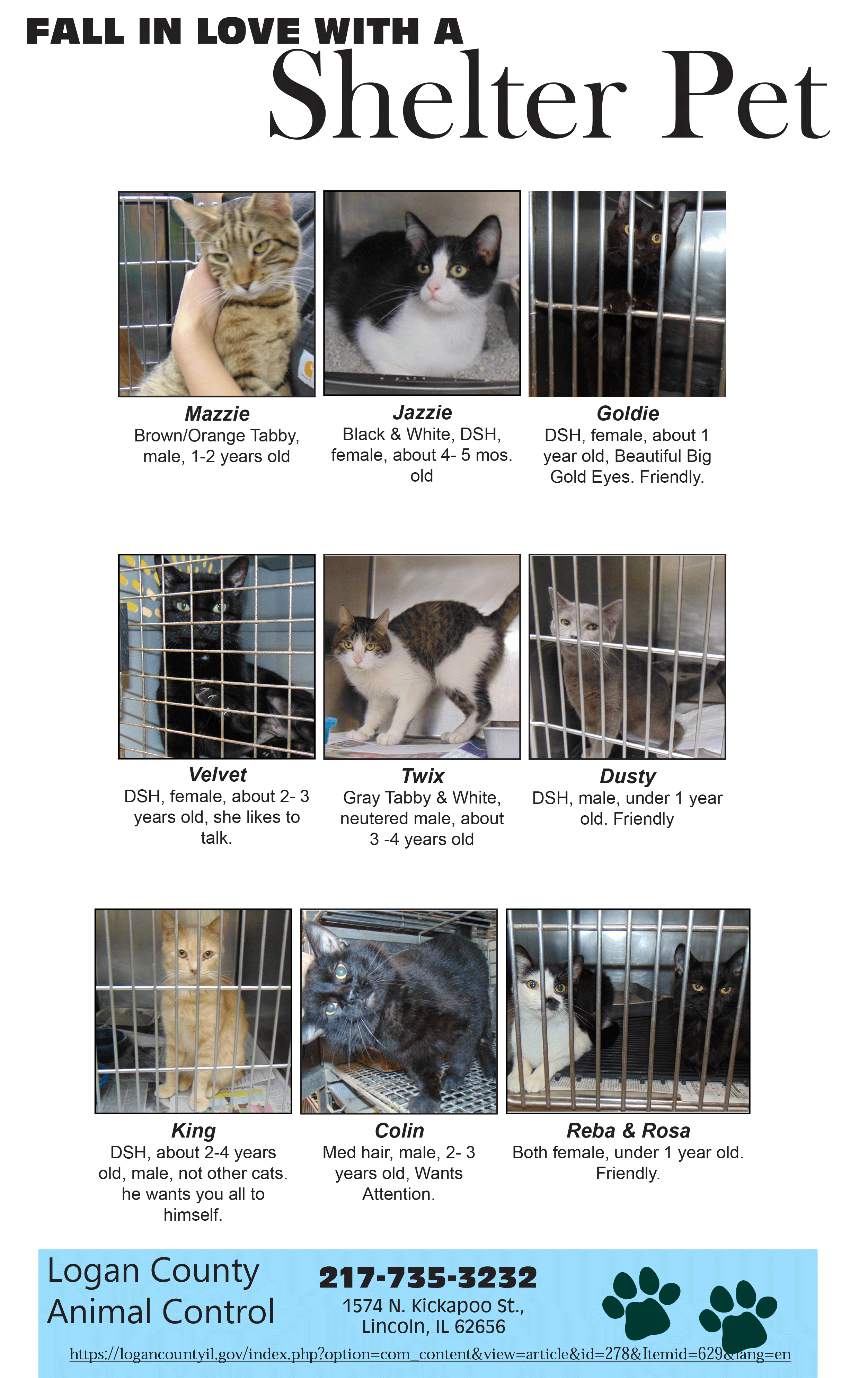 LCAR Shelter Pets